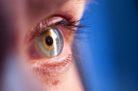 Die Forschungsschwerpunkte des Bochumer „Experimental Eye Research Institute“ sind neurodegenerative Erkrankungen wie Glaukom und altersabhängiger Makuladegeneration (AMD) sowie neurologische Leiden mit potenzieller Augenbeteiligung wie bei der Multiplen Sklerose (MS). Auge